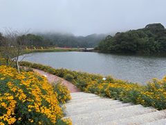 -广州市石门国家森林公园