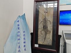 -中国第四纪冰川遗迹陈列馆