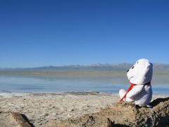 -青海茶卡盐湖文化旅游发展股份有限公司