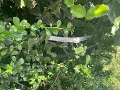 -毛公山瞻仰区售票处