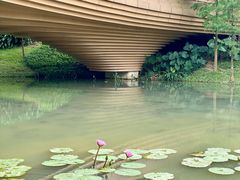 -云溪植物园