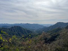 -大岭沟猕猴桃谷风景区