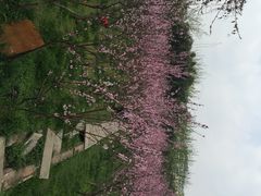 花溪十里河滩湿地公园-贵阳市花溪国家城市湿地公园