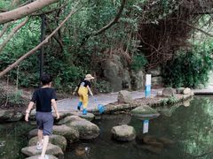 -燕晗山郊野公园