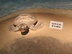 -嘉定博物馆