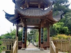 -铁山坪森林公园