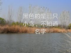 -济宁市太白湖旅游景区