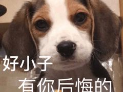 -金逸影城(中关村店)