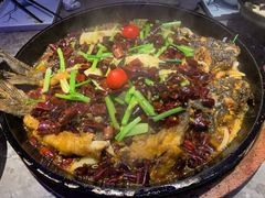 -老板恋上鱼(恒隆广场店)