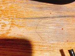 -阿记烧烤(大兴新区店)