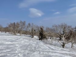 -大秃顶子山