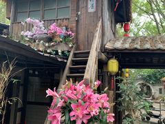 -园林美食城·本土农家菜(杨和镇店)