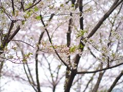 -白塘生态植物园