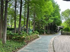 -自然谷恐龙园