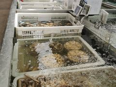 -盒马鲜生(大成店)