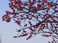 -湖州太湖旅游度假区-月亮广场