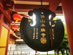 -三水森林公园