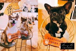 点击看大图 -迈瑞米求婚策划(静安店)
