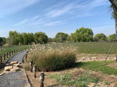 -梁鸿国家湿地公园