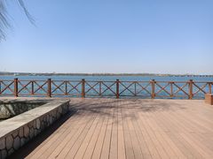 -丁香湖公园
