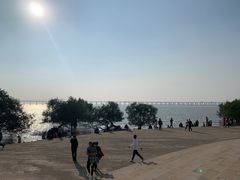 -宝安西湾红树林湿地公园