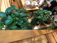 -猫的天空之城概念书店(杭州南宋御街店)