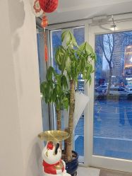 -如一·美甲美睫