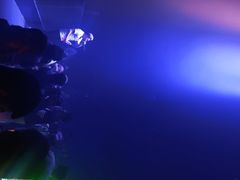 -SuperMiami超级迈阿密酒吧(呼和浩特店)