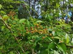 -三亚南山文化旅游区