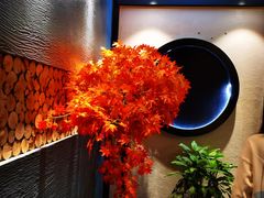 -先机®·泉水鸡汤(七星岗店)