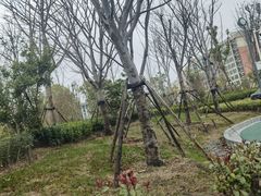 -灵秀公园