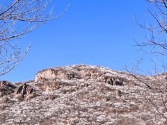 -妙峰山风景名胜区