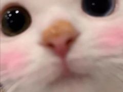 -长沙湘江冰雪世界