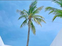 -查汶海滩