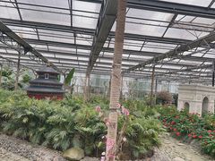 -南宫五洲植物乐园