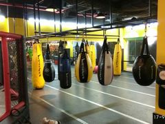 -天行健身＆天行拳馆跆拳道·格斗TXGYM