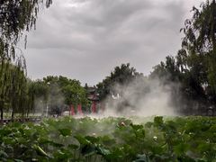 -四川大学(望江校区)