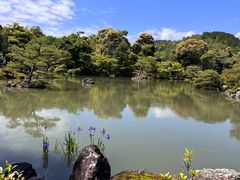 -豆政(金閣寺境内売店)