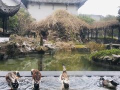 景观位-汇金酒店·餐厅