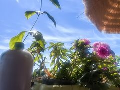 -小王府(什刹海店)