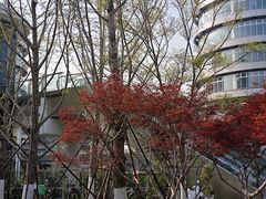 -诺亚财富中心