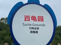 -广东惠东海龟国家级自然保护区