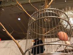 -杭州香格里拉饭店