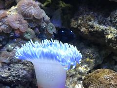 -苏州海洋馆