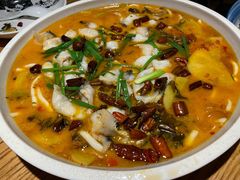 -滇铺子·云南特色菜·第九届野生菌美食节(东风东路c86店)