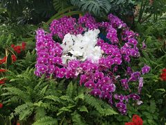 -兰陵国家农业公园