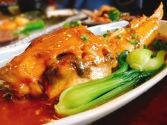 红烧河豚-天正河鲀·河豚亭(大连店)