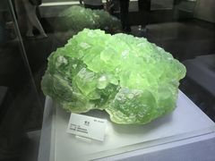 -湖南省地质博物馆