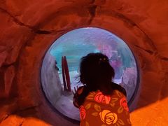 -沈阳海洋探索中心