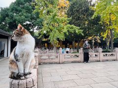-西园戒幢律寺